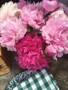 Picnic Peonies